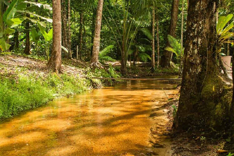 Evento no Amapá reúne alternativas para o desenvolvimento sustentável da Amazônia brasileira